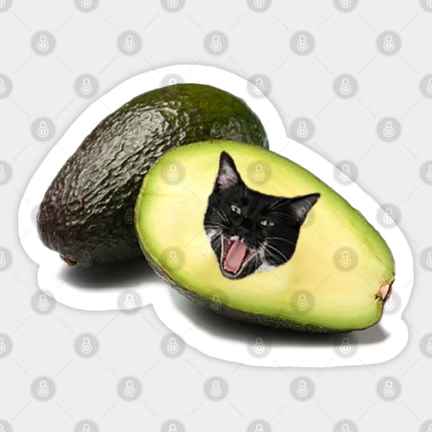 AvoCATo Sticker by stermitkermit